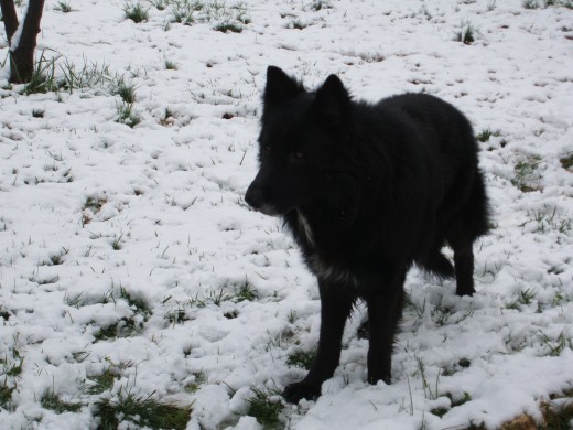 Este es tinto un dia de nieve.